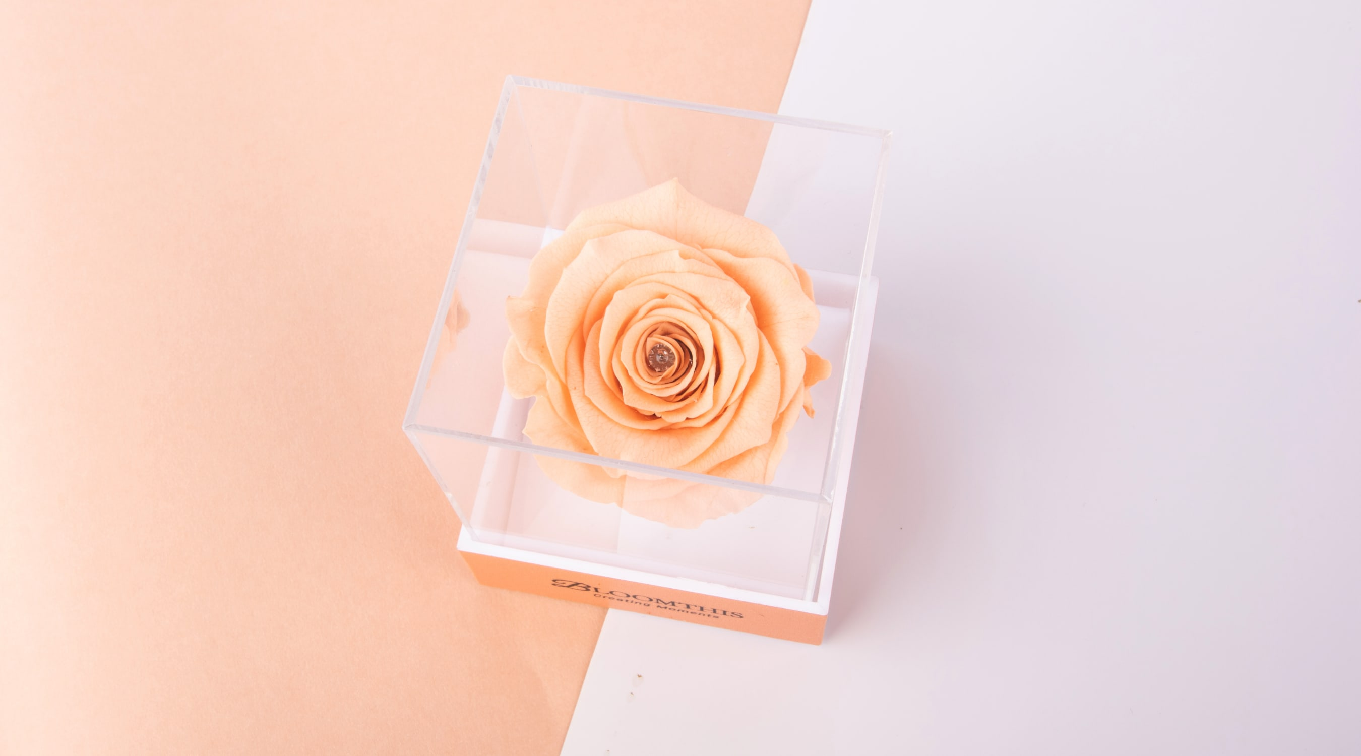 bloomthis-eternity-everlasting-roses