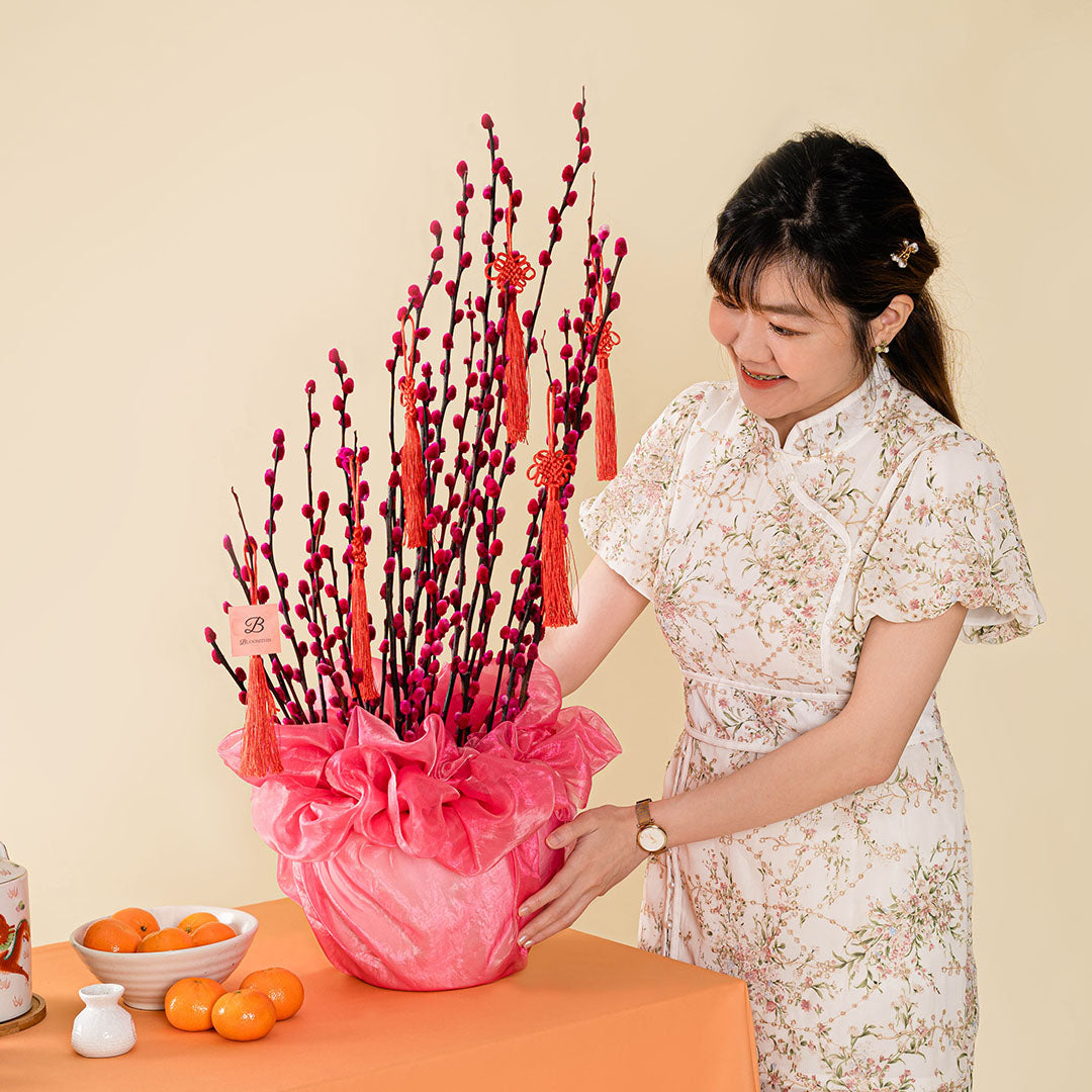 Pussy Willow Chinese New Year Flowers in Pot 2026