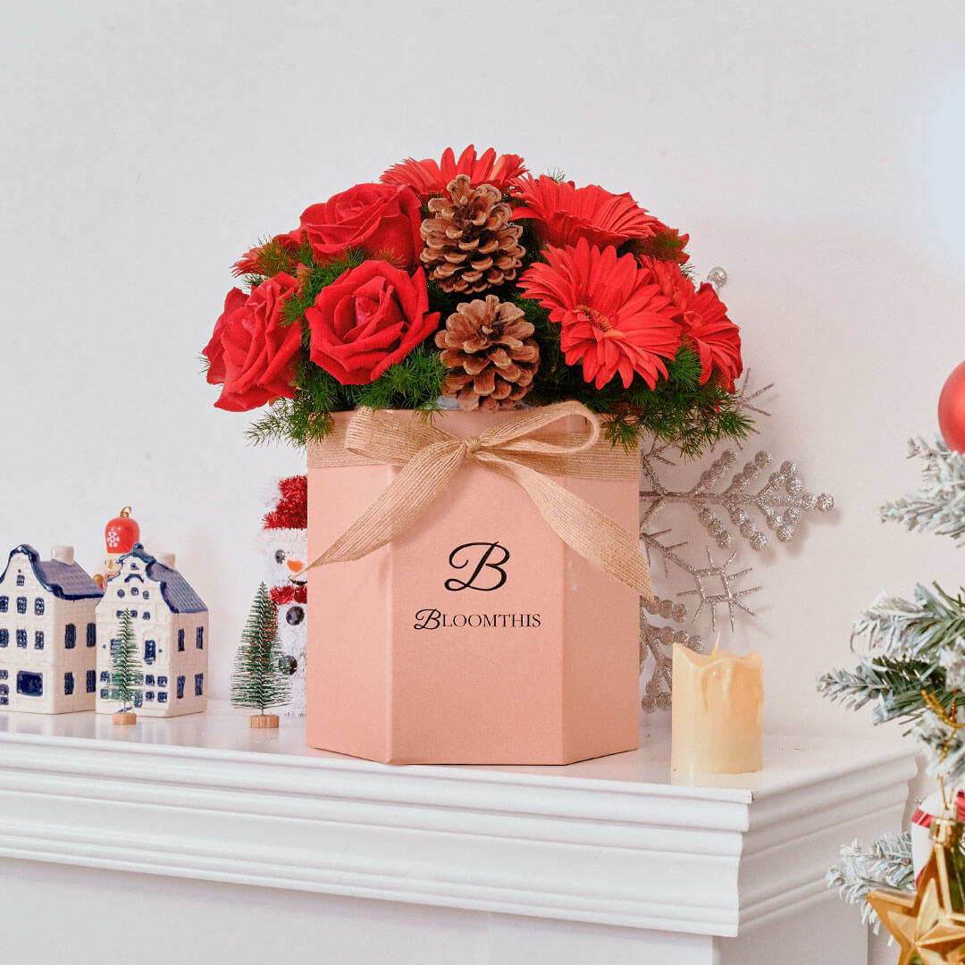 Angelica Red Gerbera Christmas Flower Box