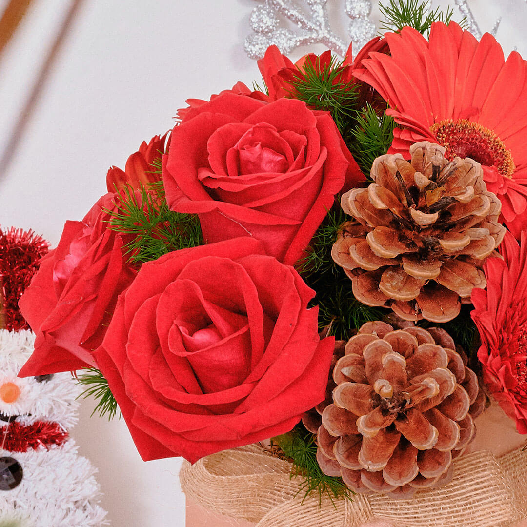 Angelica Red Gerbera Christmas Flower Box
