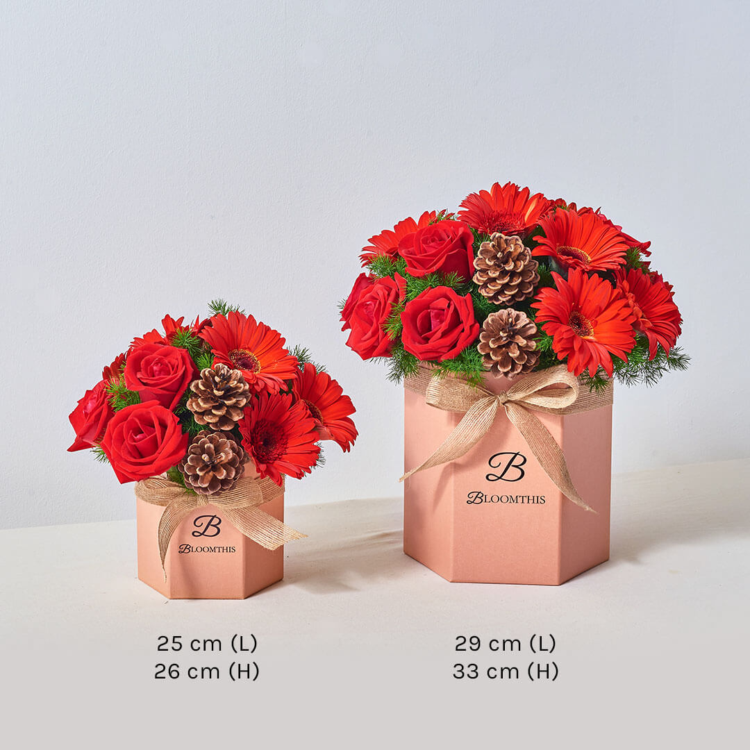 Angelica Red Gerbera Christmas Flower Box