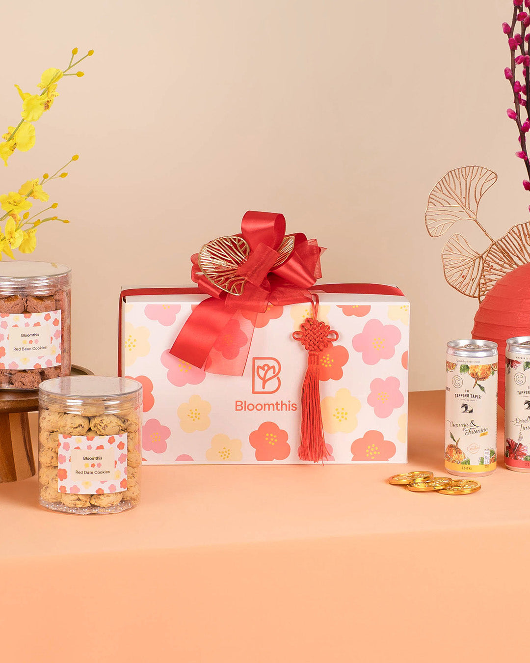 Xinyi (心意) Chinese New Year Gift Set 2026