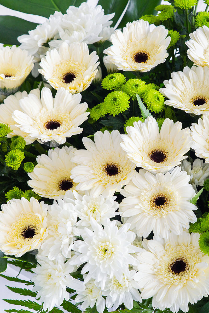 bloomthis-flower-stand-tally-white-gerbera-condolence-flower-stand-1200x800-02