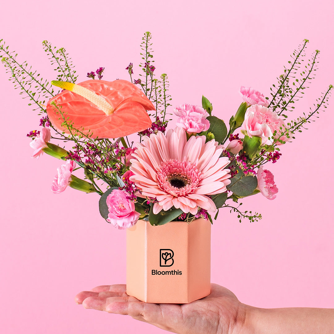 bloomthis-hat-box-ariel-gerbera-mini-flower-box-1080x1080-01_a60e5b9e-1030-4d4b-b488-ca8cd6e7274f