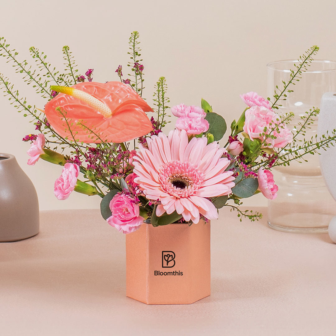 bloomthis-hat-box-ariel-gerbera-mini-flower-box-1080x1080-03_2b0b489f-9896-41f3-bc3d-5fe7930b00cd