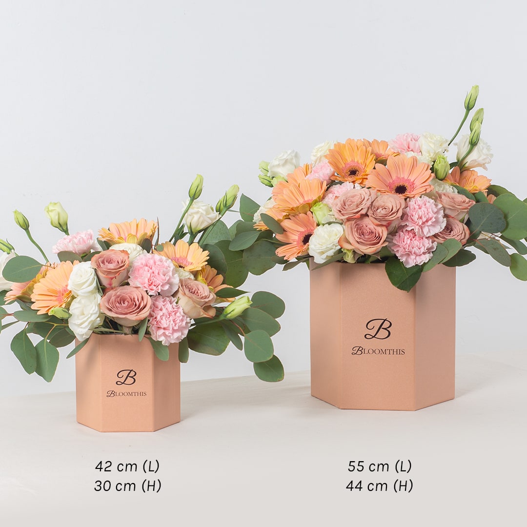 Blake Peach Gerbera Mother's Day Flower Box (MD)