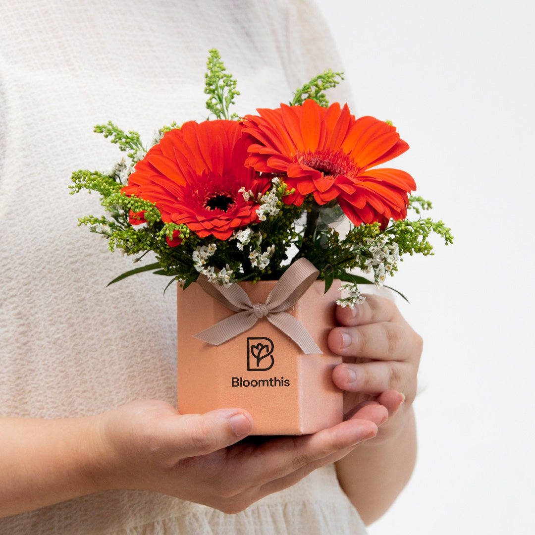 bloomthis-hat-box-fabuelo-gerbera-mini-flower-box-1080x1080-02_fa19ceb0-d2dd-4e5b-9e36-584ba8999573