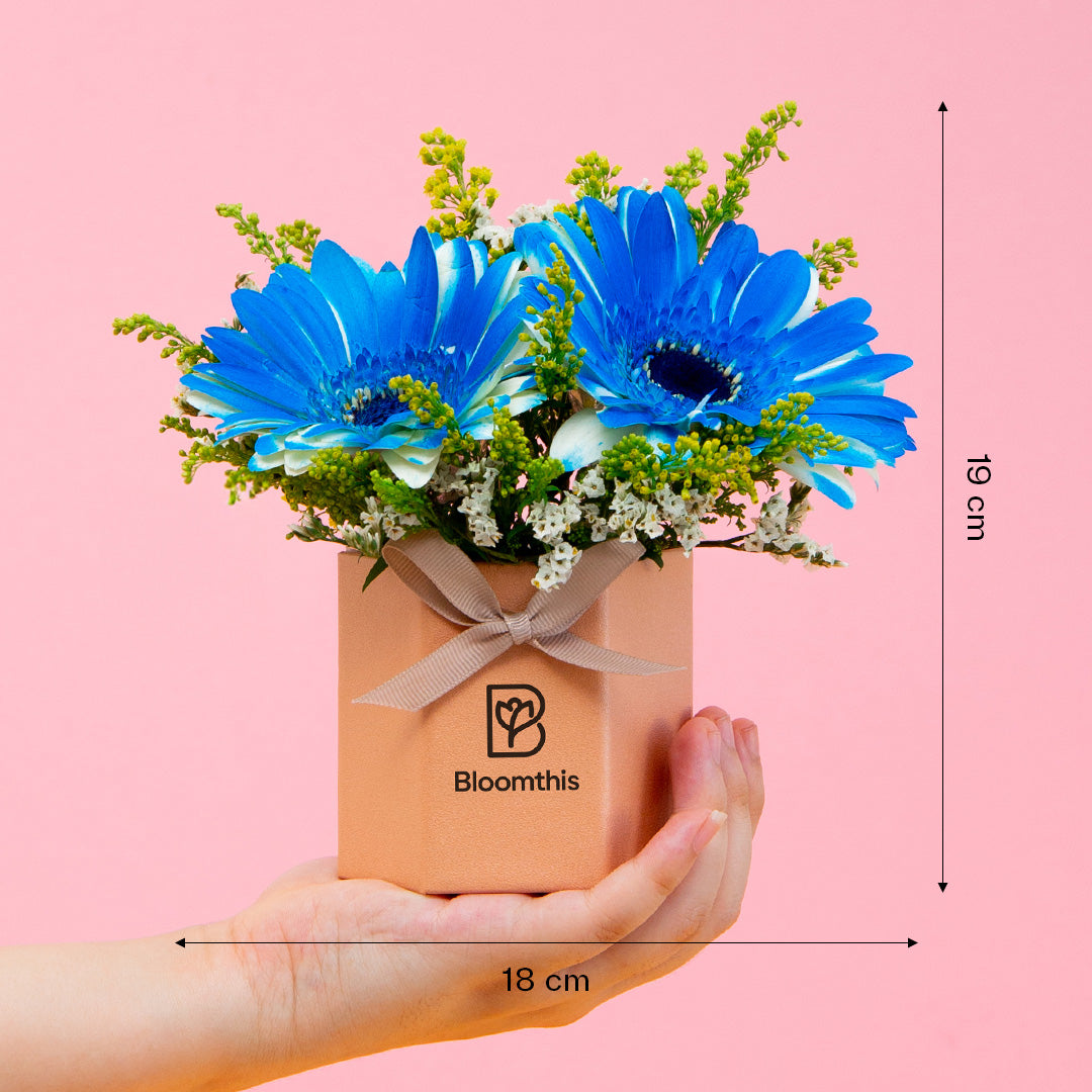bloomthis-hat-box-francisco-gerbera-mini-flower-box-1080x1080-05_8f9ddaf9-6246-4535-ba5a-4931205486cb