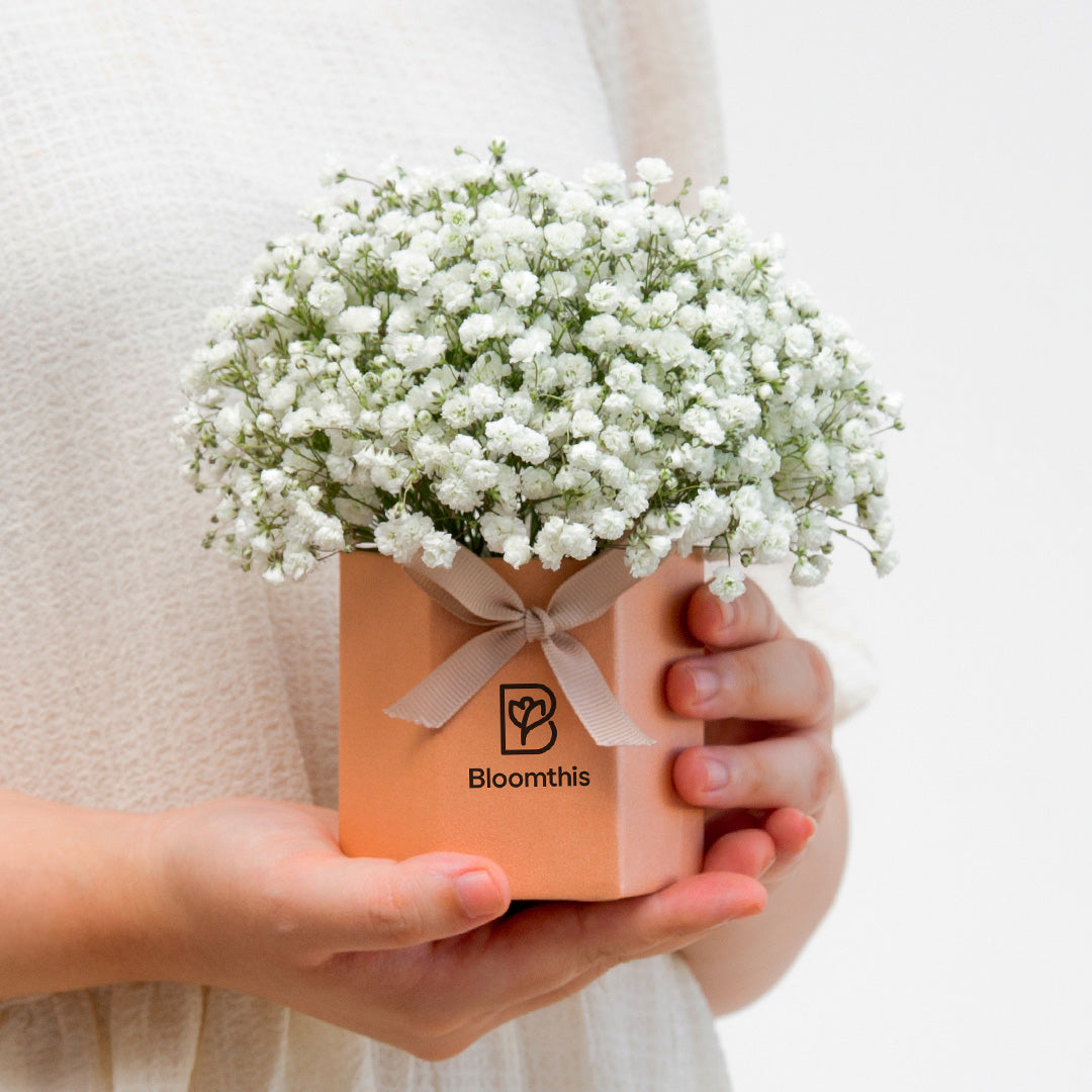 bloomthis-hat-box-joyful-babys-breath-mini-flower-box-1080x1080-02_1bc82b54-7976-4239-8461-d32508f95112