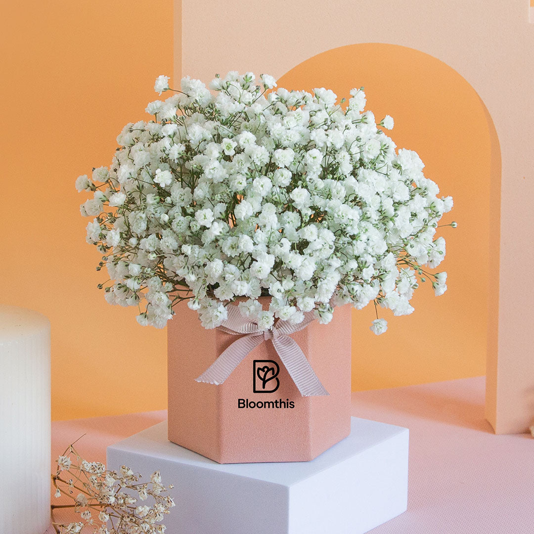bloomthis-hat-box-joyful-babys-breath-mini-flower-box-1080x1080-03