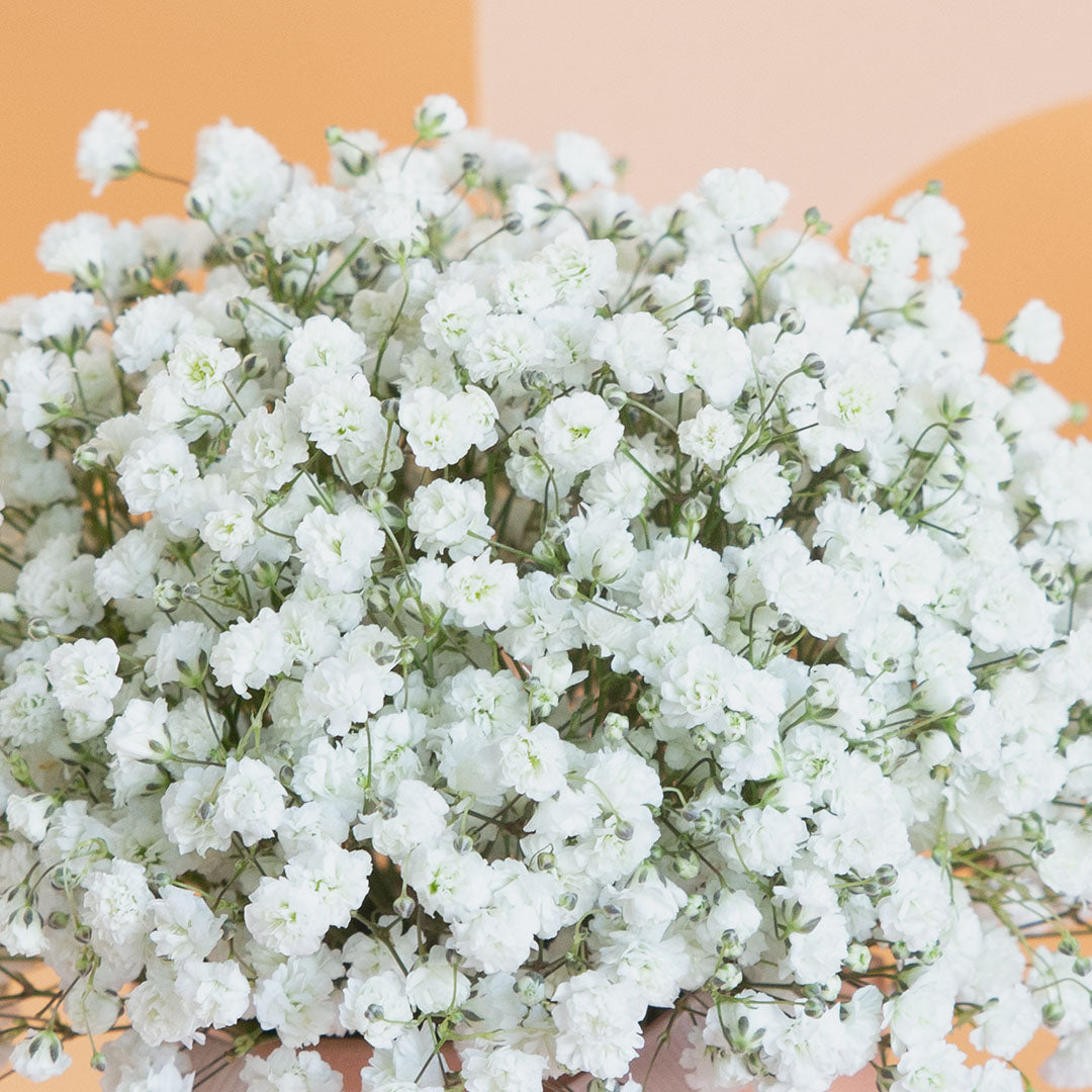 bloomthis-hat-box-joyful-babys-breath-mini-flower-box-1080x1080-04