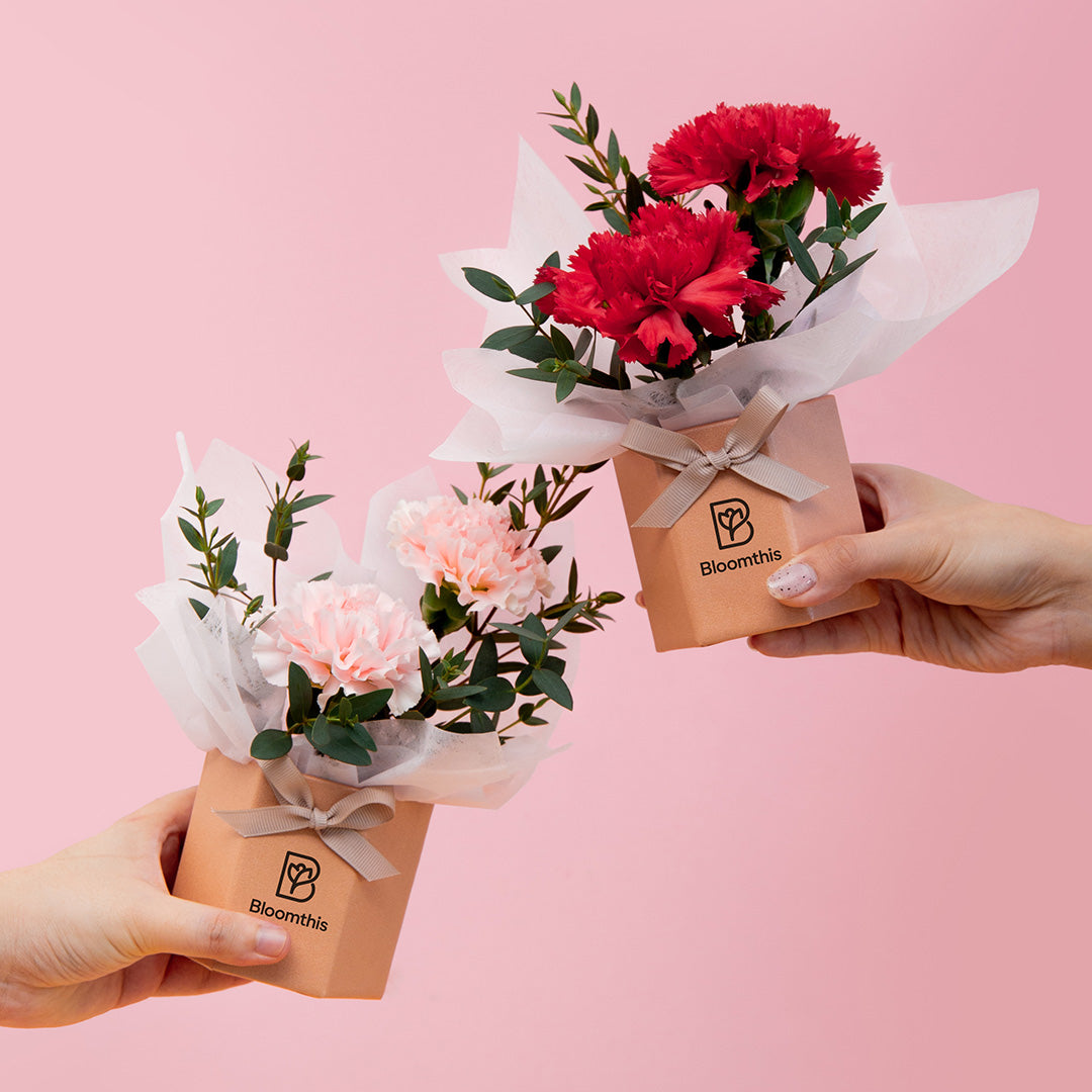 bloomthis-hat-box-waverly-carnation-mini-flower-box-1080x1080-04_0524b65d-c98c-43f8-947e-9f7204519411