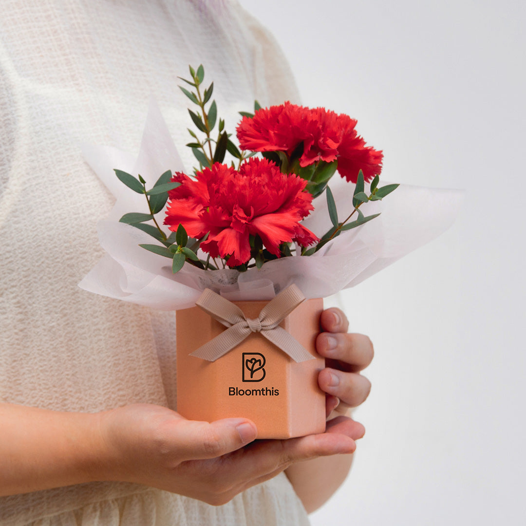 bloomthis-hat-box-wynona-carnation-mini-flower-box-1080x1080-02_a5b3640b-4439-4364-9436-18baab6f3cac