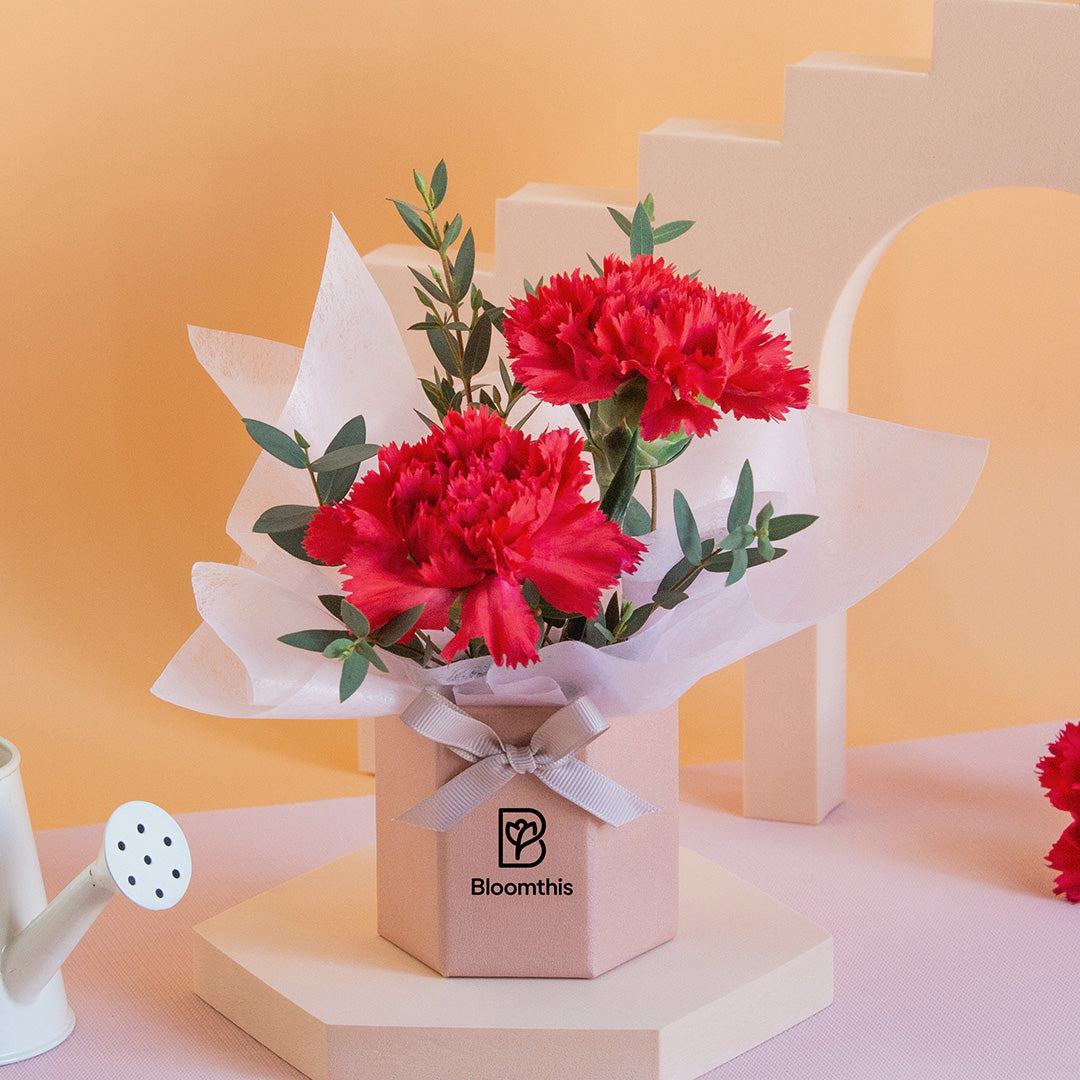 bloomthis-hat-box-wynona-carnation-mini-flower-box-1080x1080-03_bf4d6702-8fa6-461a-b16c-beead3ea5704