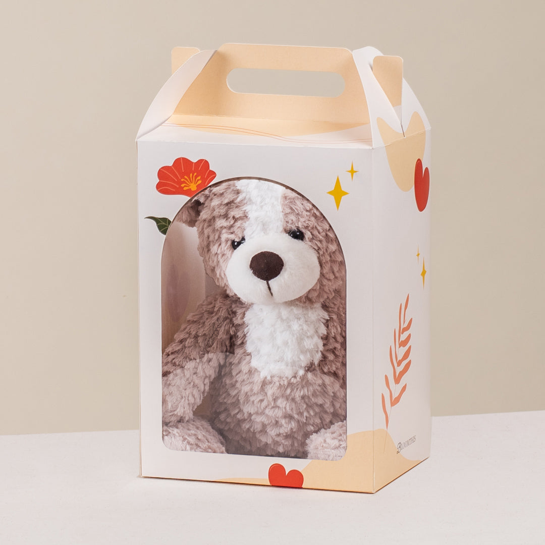 Colleney 2-Tone Beige Teddy Plushie (AO)