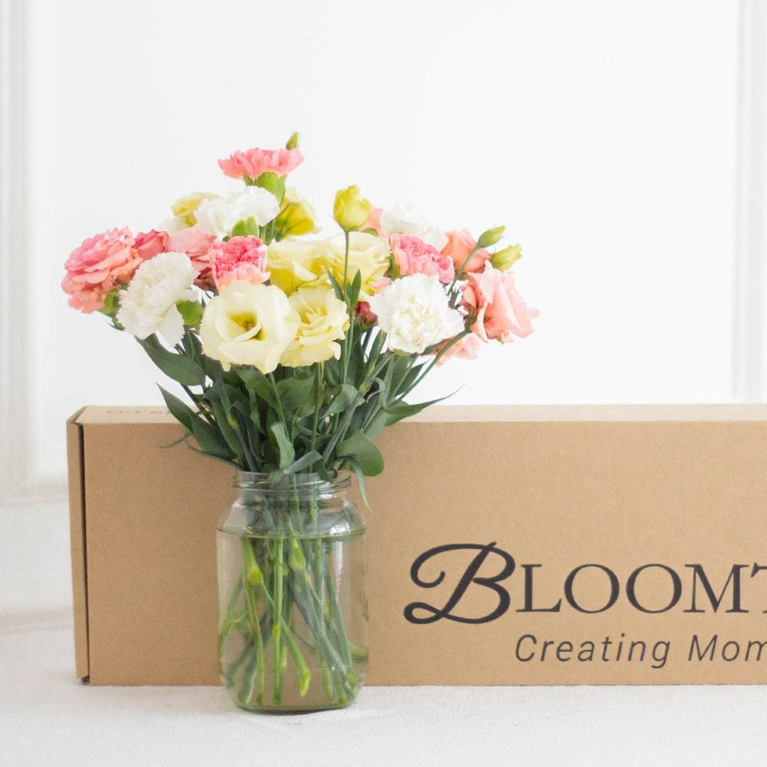 Christina Pink Carnation Flower Long Box (MD)