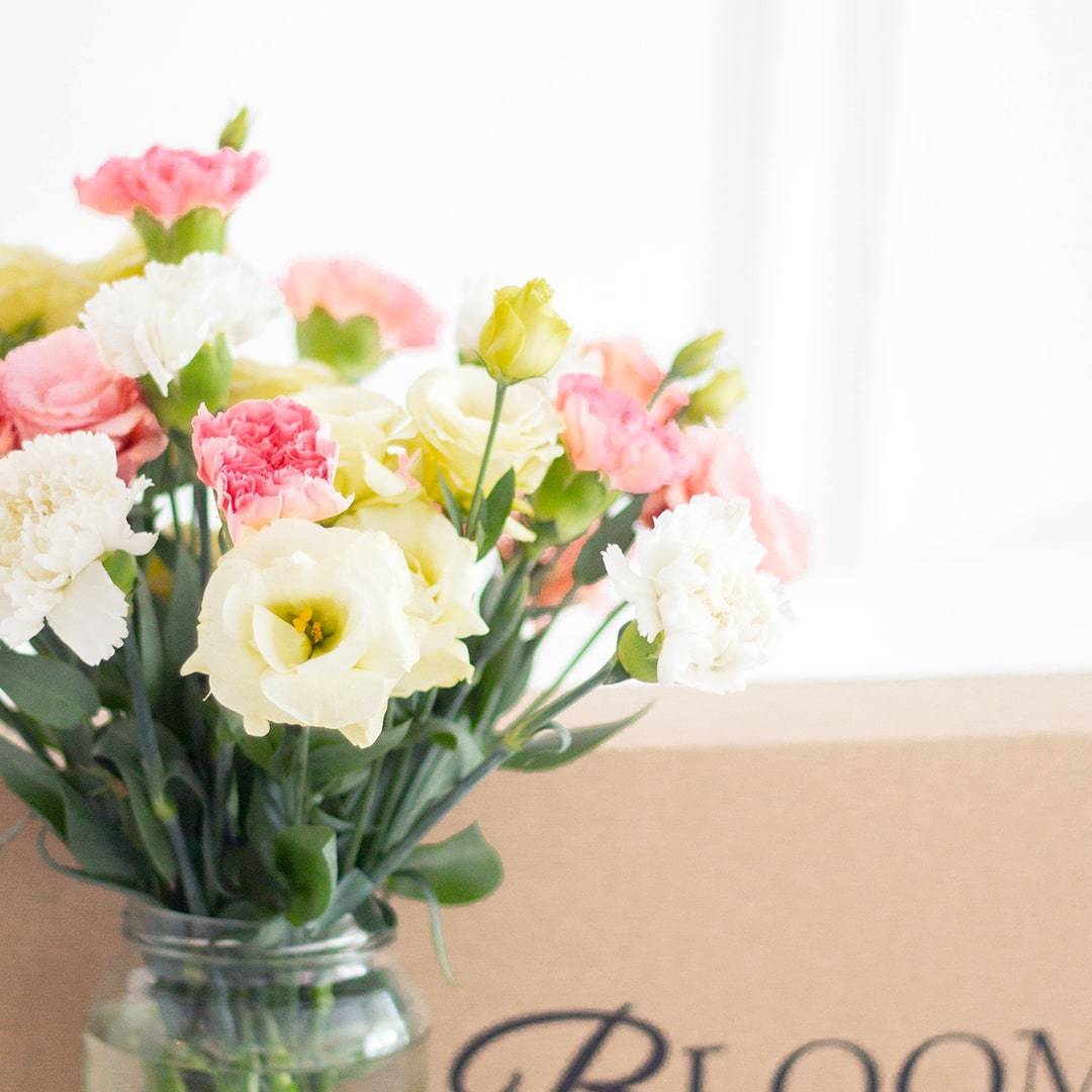 Christina Pink Carnation Flower Long Box (MD)