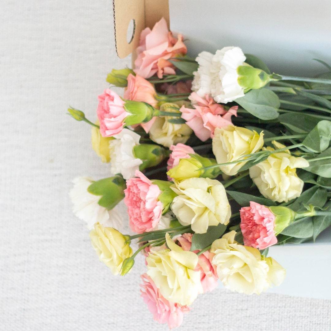 Christina Pink Carnation Flower Long Box (MD)