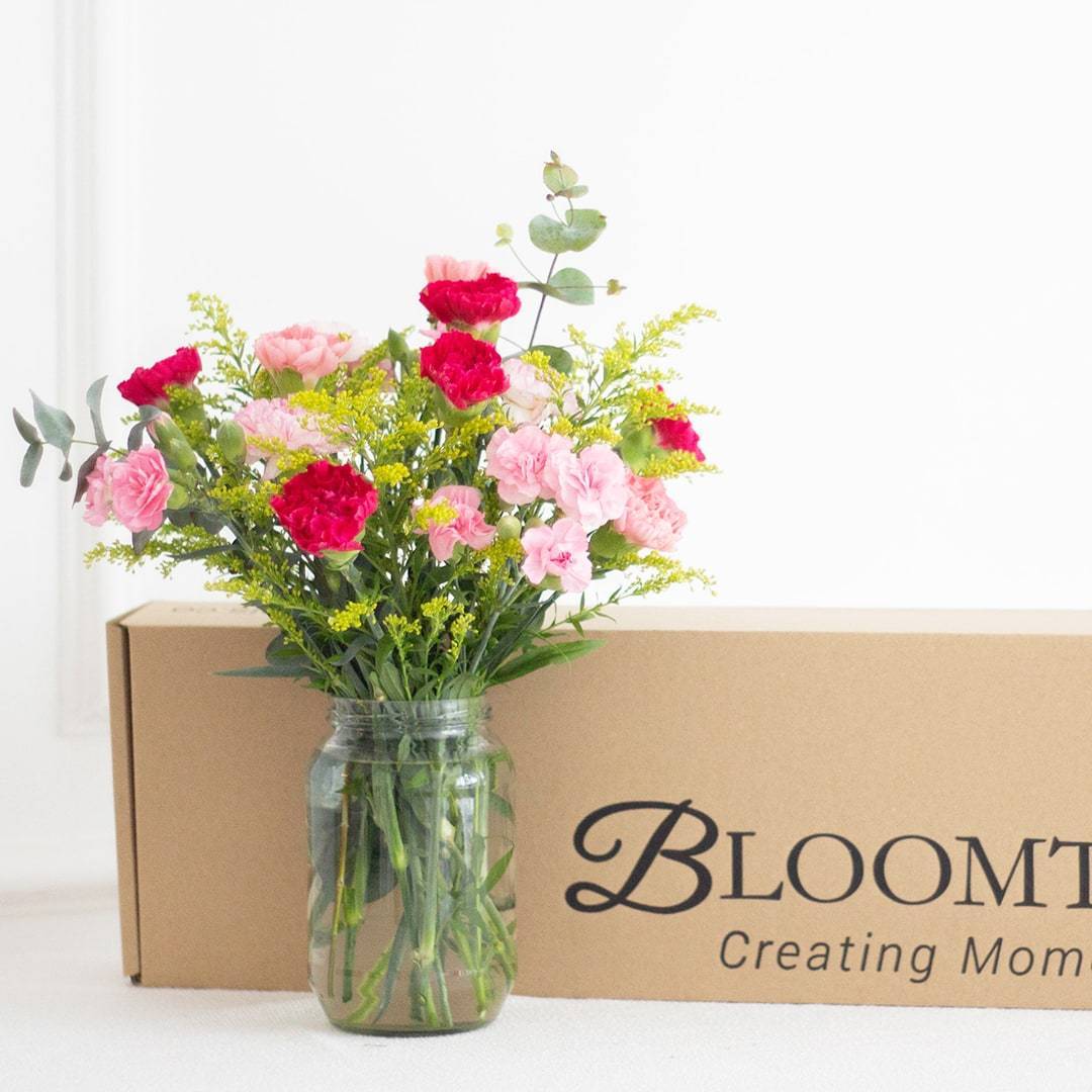 Lisa Pink Carnation Flower Long Box (MD)