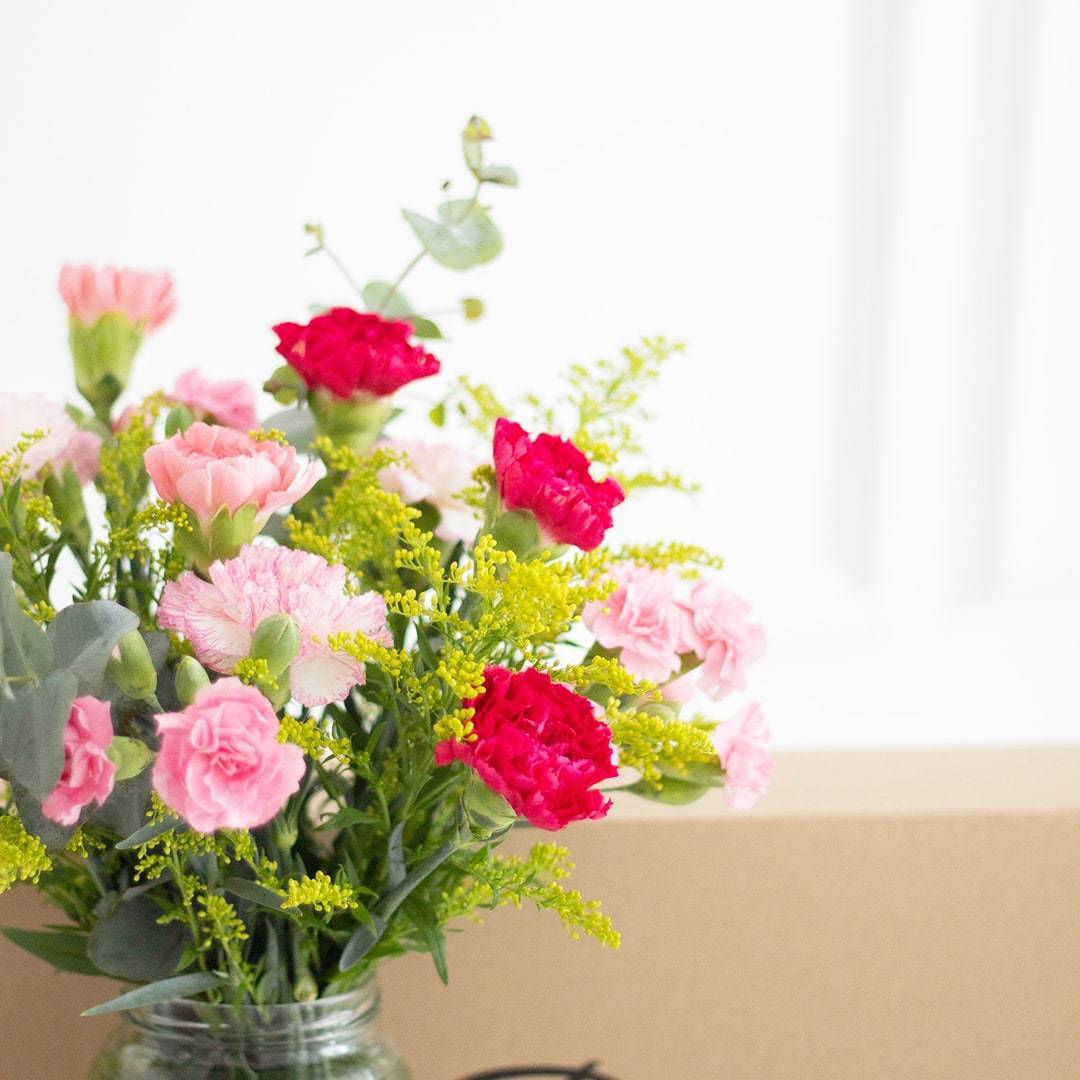 Lisa Pink Carnation Flower Long Box (MD)