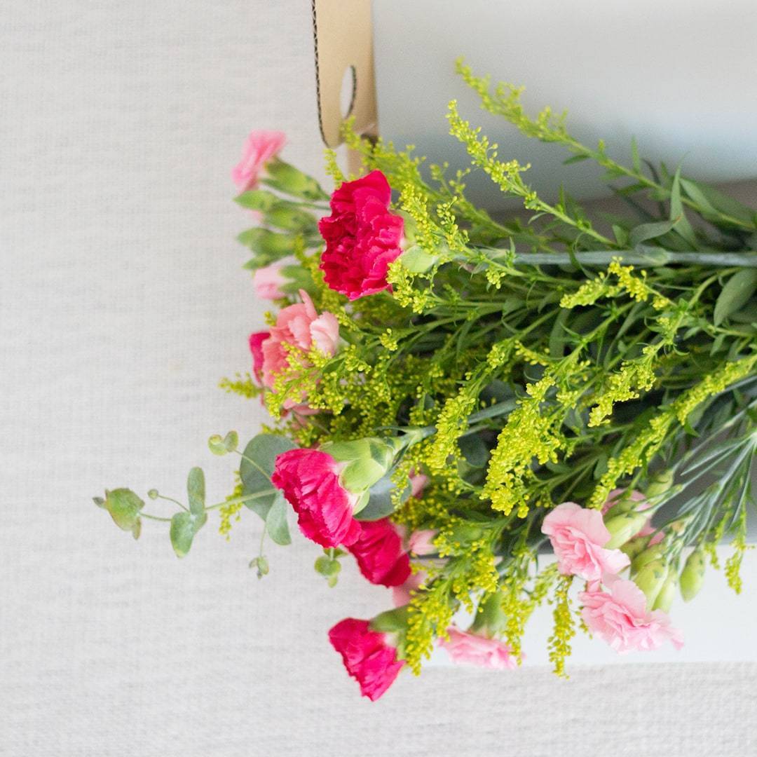 Lisa Pink Carnation Flower Long Box (MD)