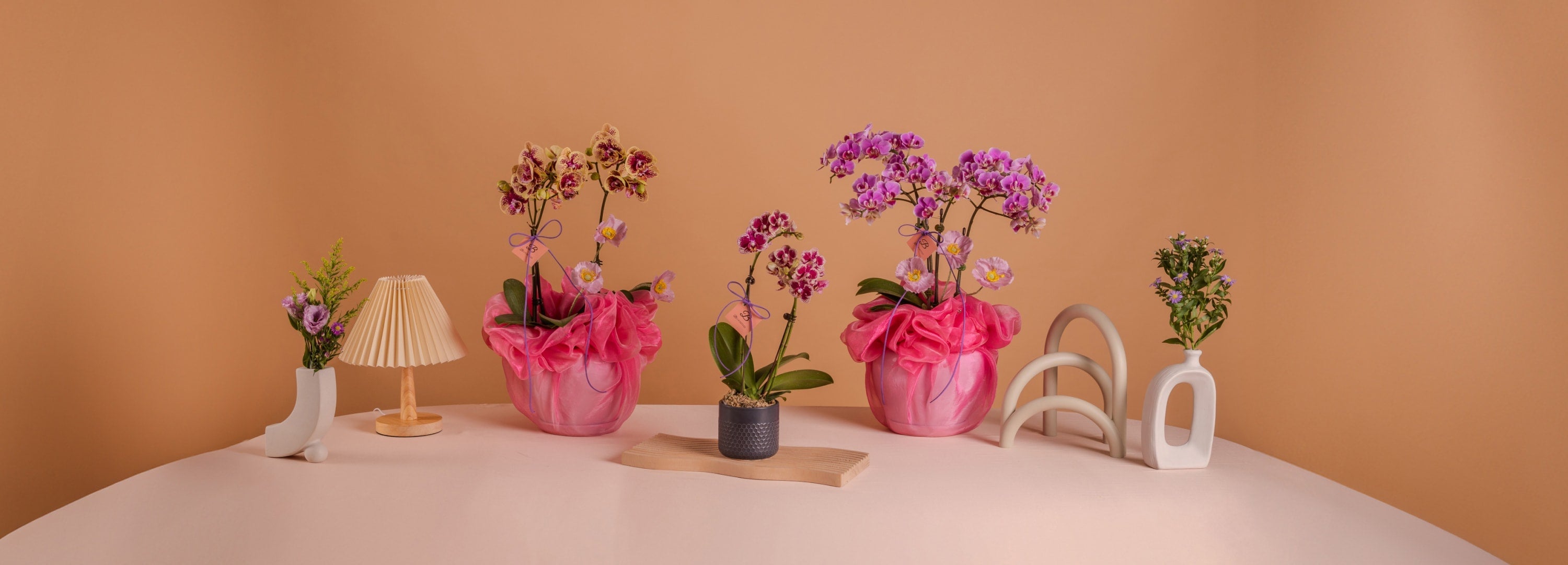 Beautiful orchid arrangements by BloomThis