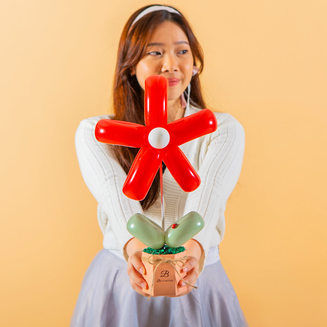 Red Daisy Balloon Box