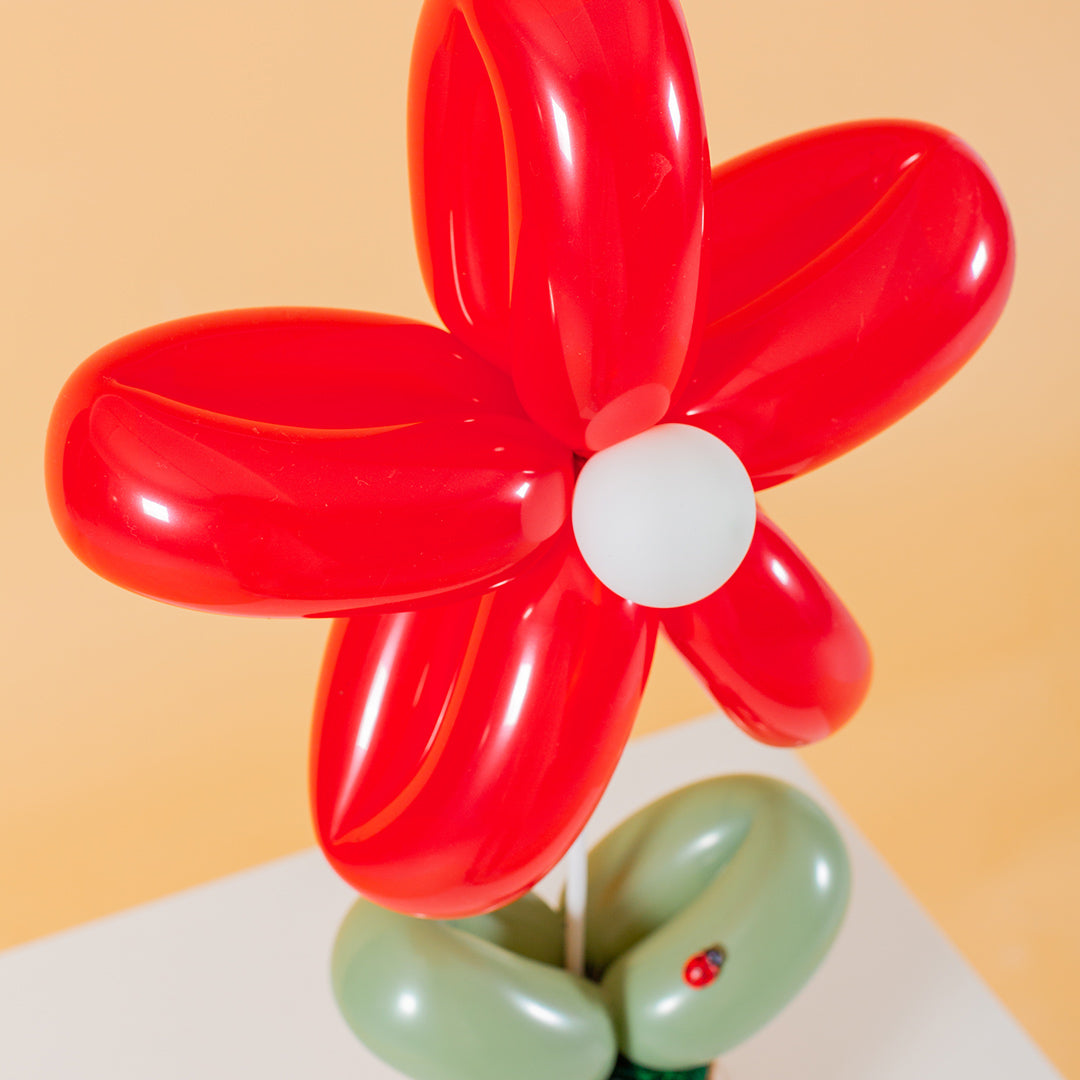 Red Daisy Balloon Box