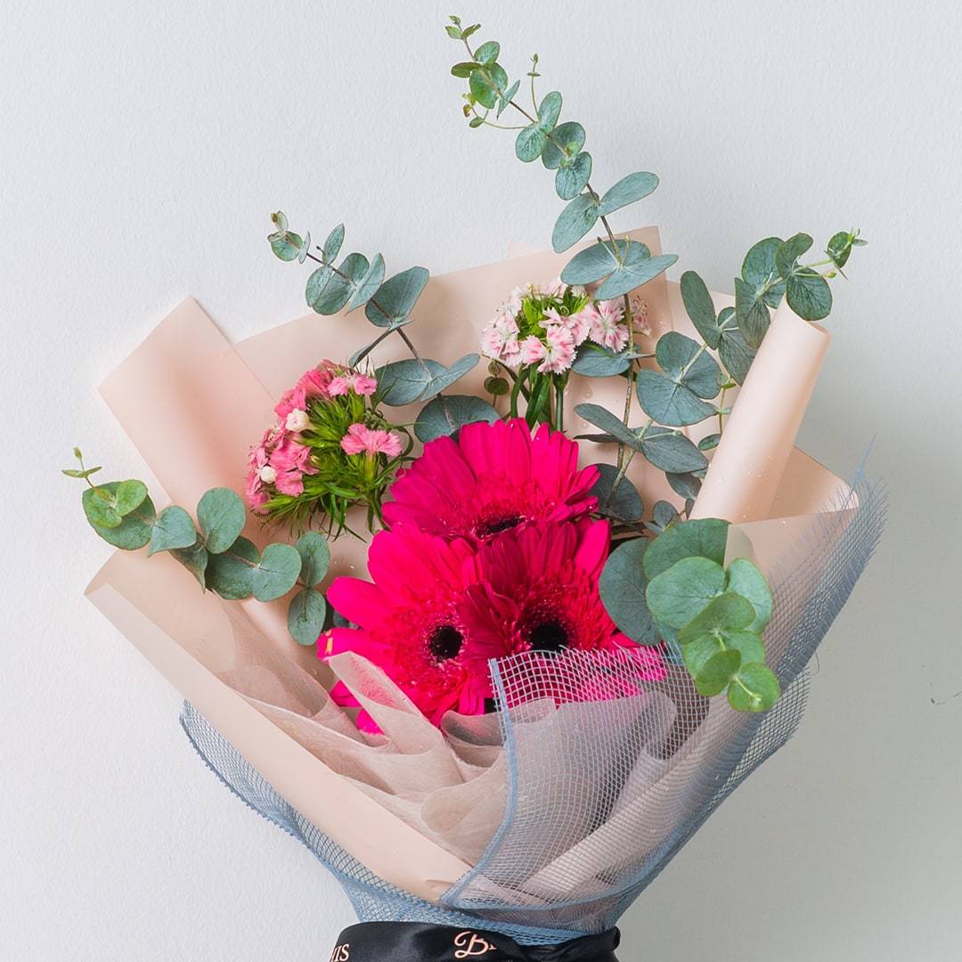 Macy Pink Gerbera Bouquet