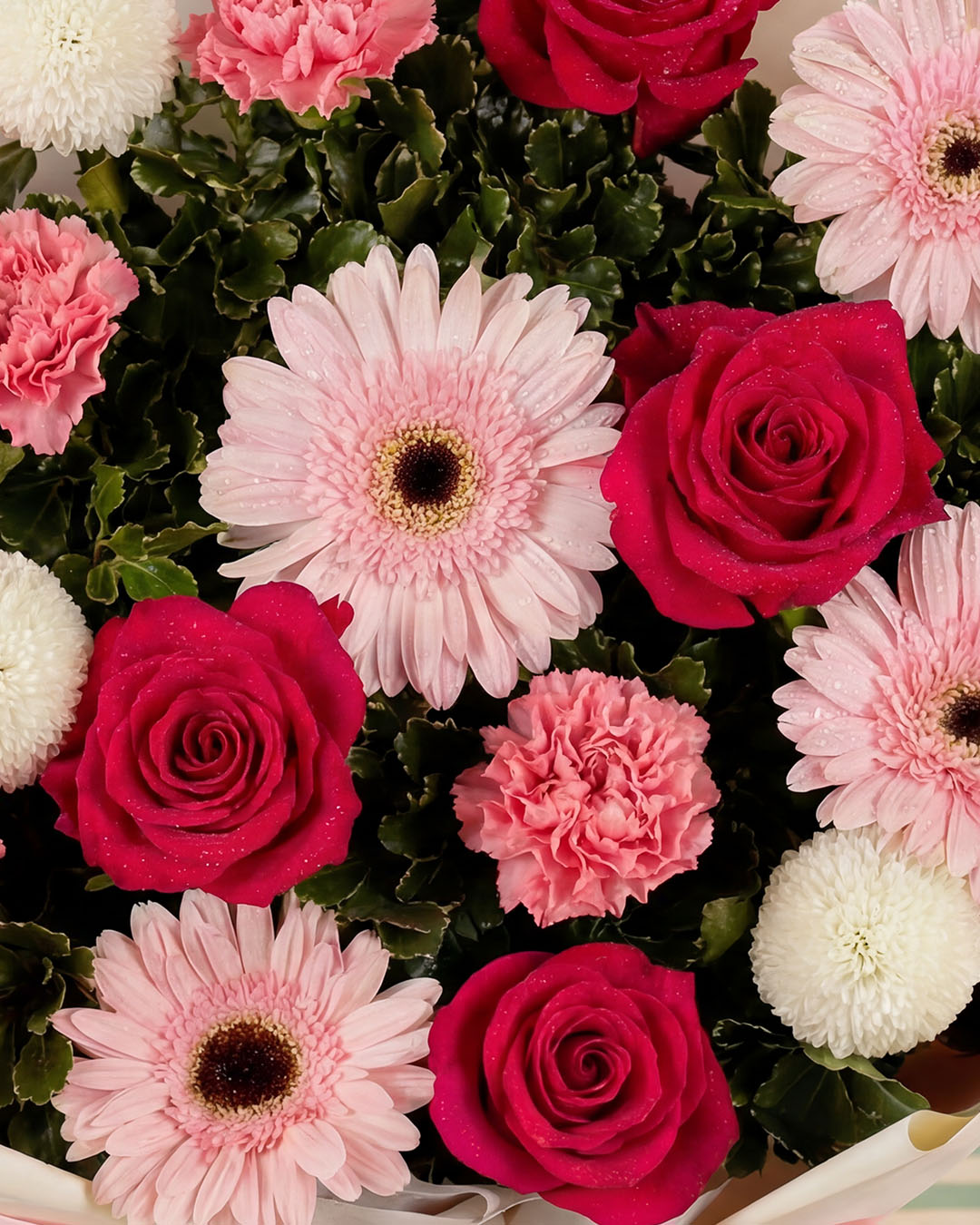 bloomthis-bouquet-marilyn-pink-carnation-bouquet-1080x1350-05