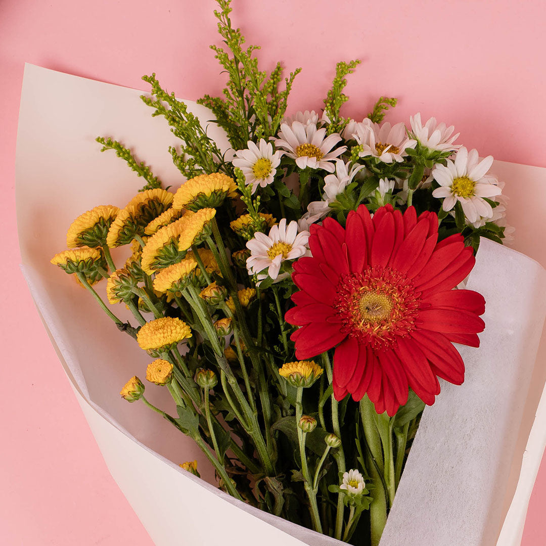 bloomthis-bouquet-meadow-red-gerbera-bouquet-1080x1080-02