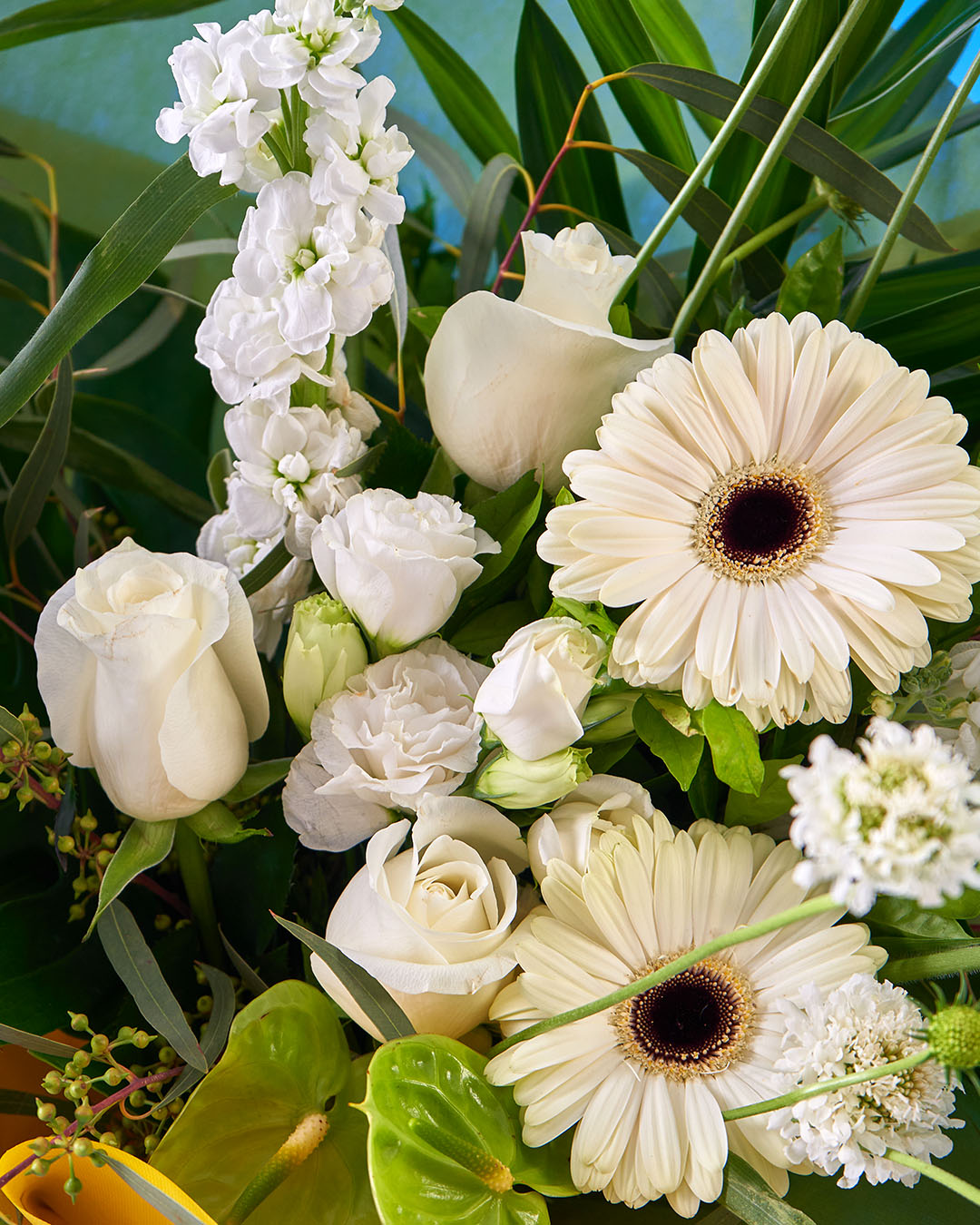 no filter white rose bouquet