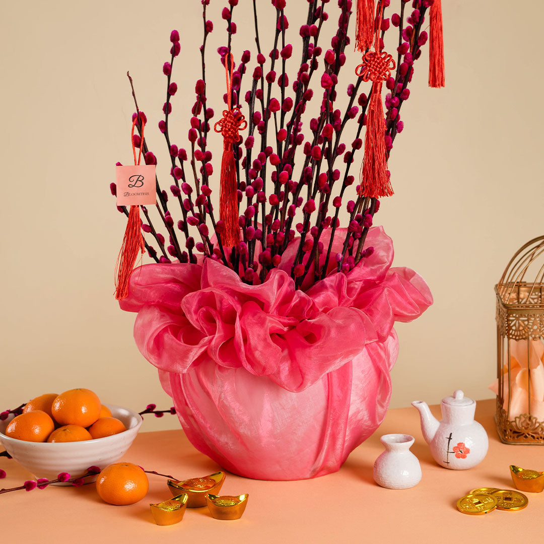 Pussy Willow Chinese New Year Flowers in Pot 2026