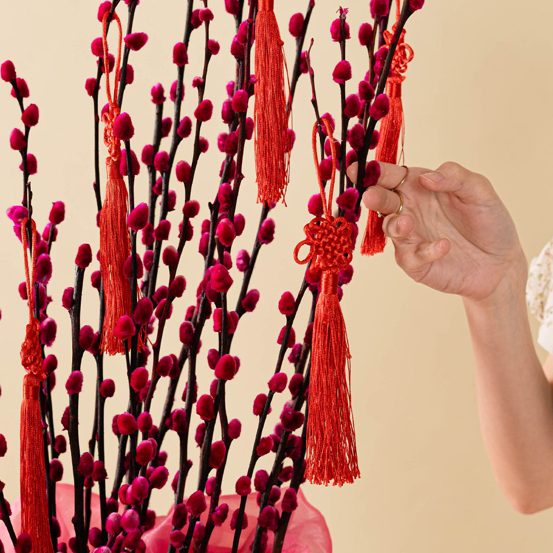 Pussy Willow Chinese New Year Flowers in Pot 2026