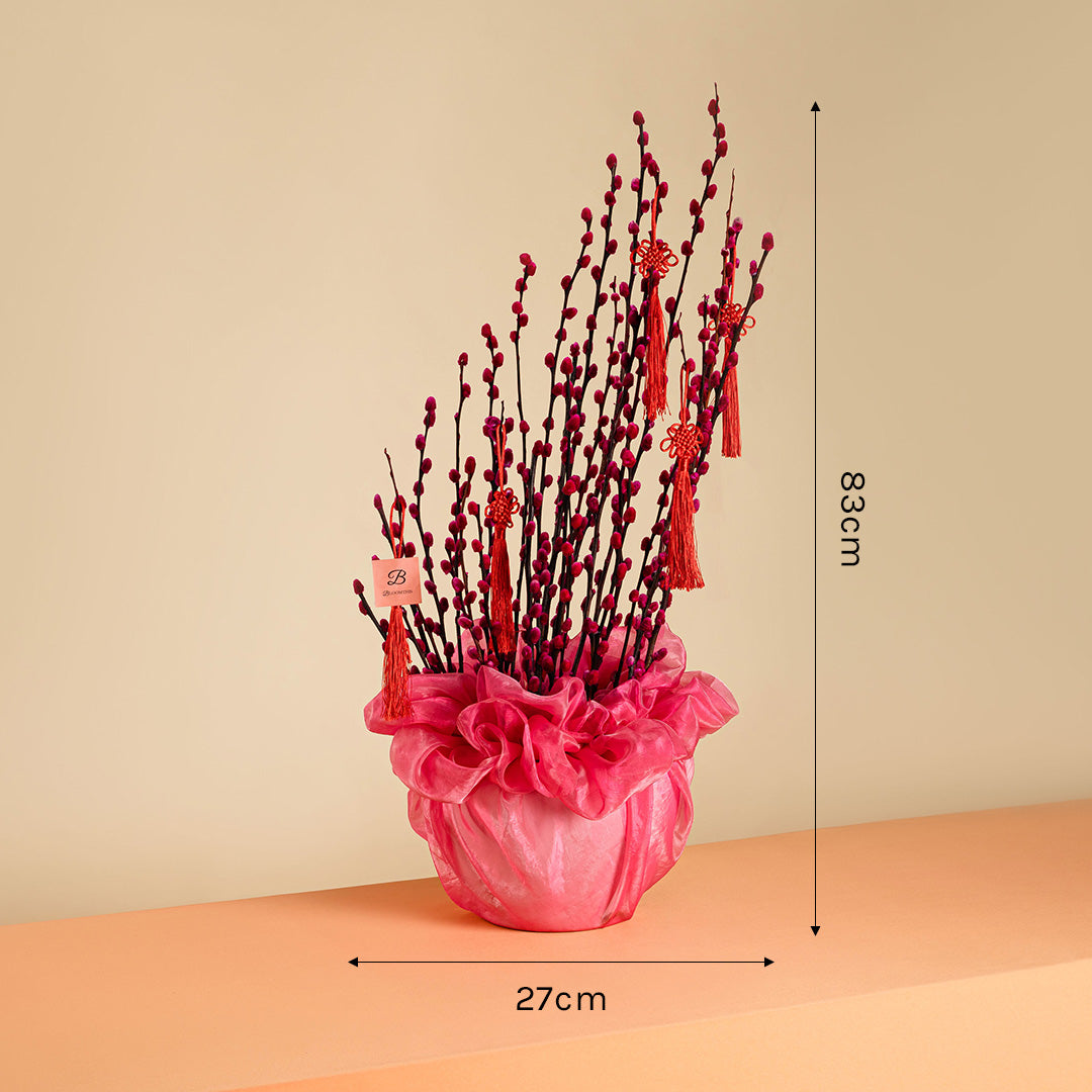 Pussy Willow Chinese New Year Flowers in Pot 2026