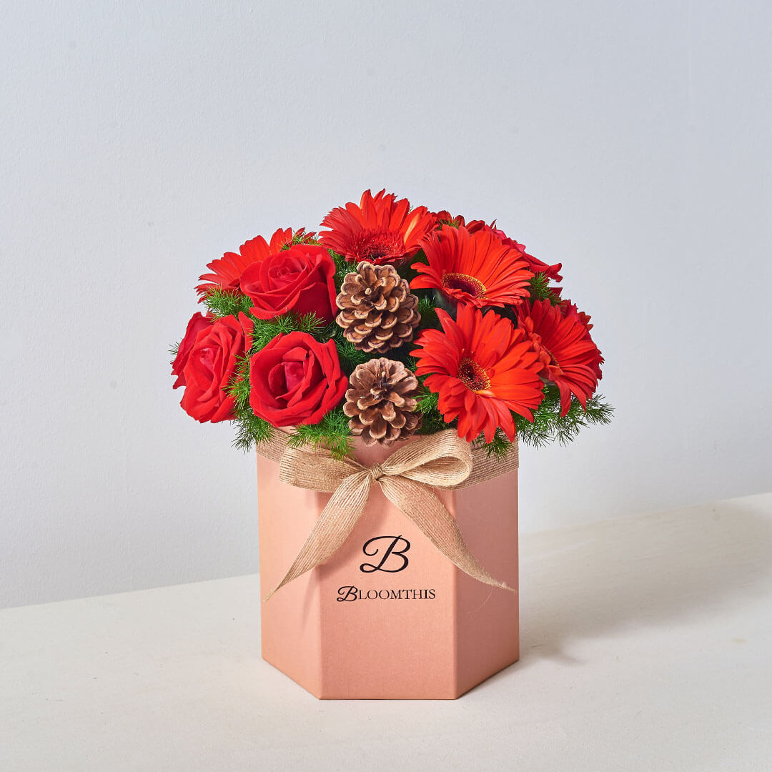 Angelica Red Gerbera Christmas Flower Box