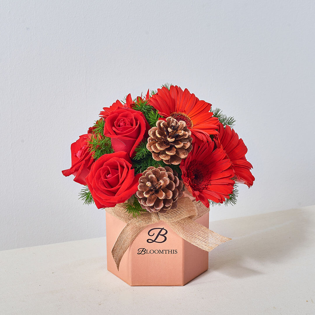 Angelica Red Gerbera Christmas Flower Box