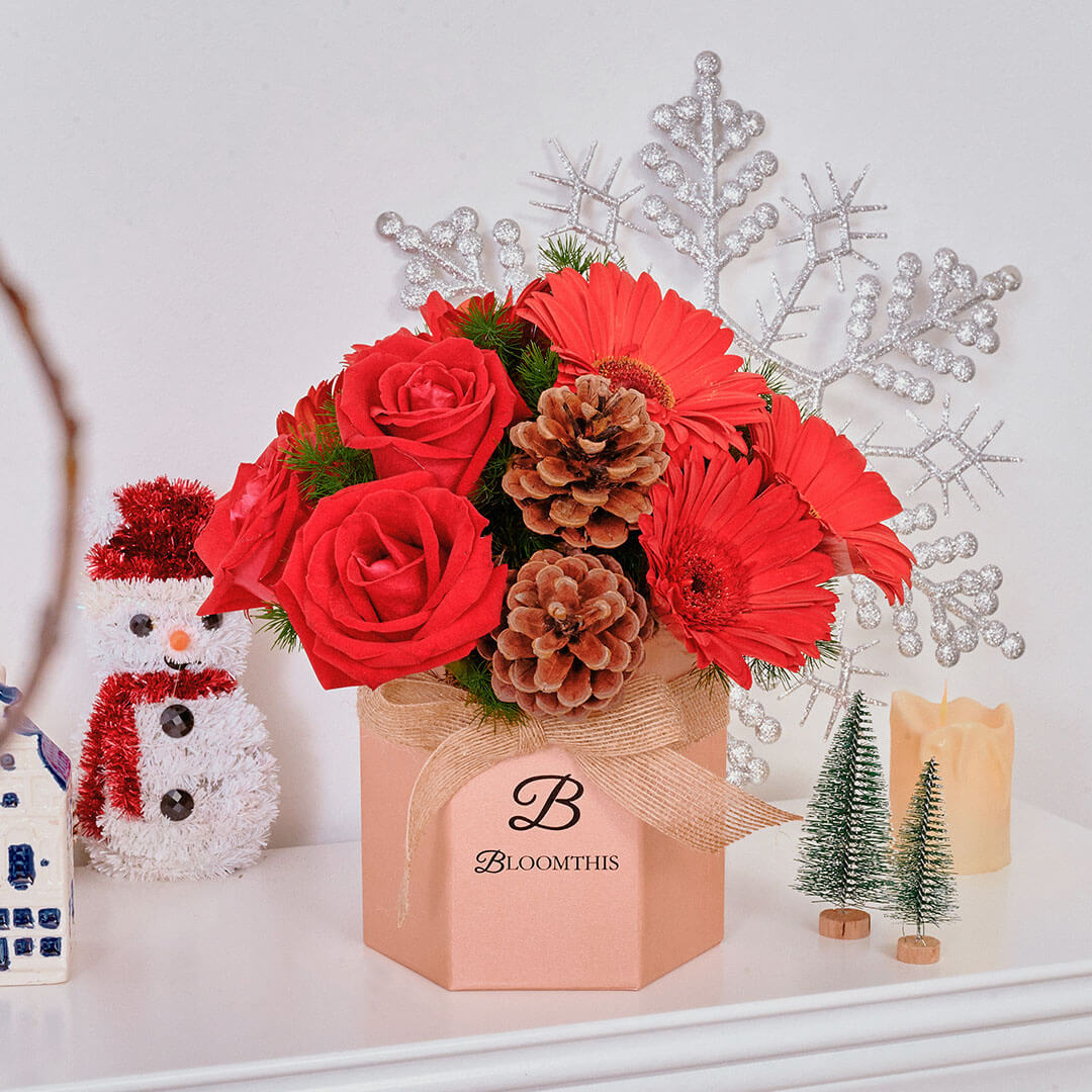Angelica Red Gerbera Christmas Flower Box