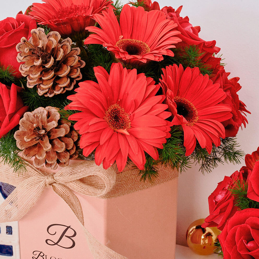 Angelica Red Gerbera Christmas Flower Box