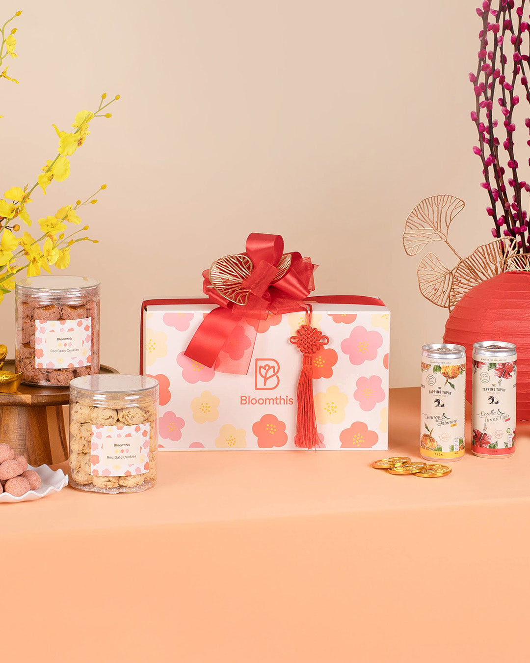 Xinyi (心意) Chinese New Year Gift Set 2026