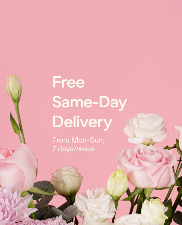 bloomthis-collection-card-01-free-same-day-delivery