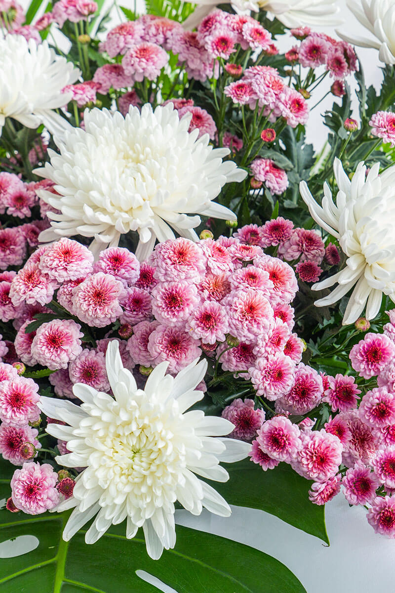 bloomthis-flower-stand-tanya-pink-button-pom-pom-condolence-flower-stand-1200x800-02