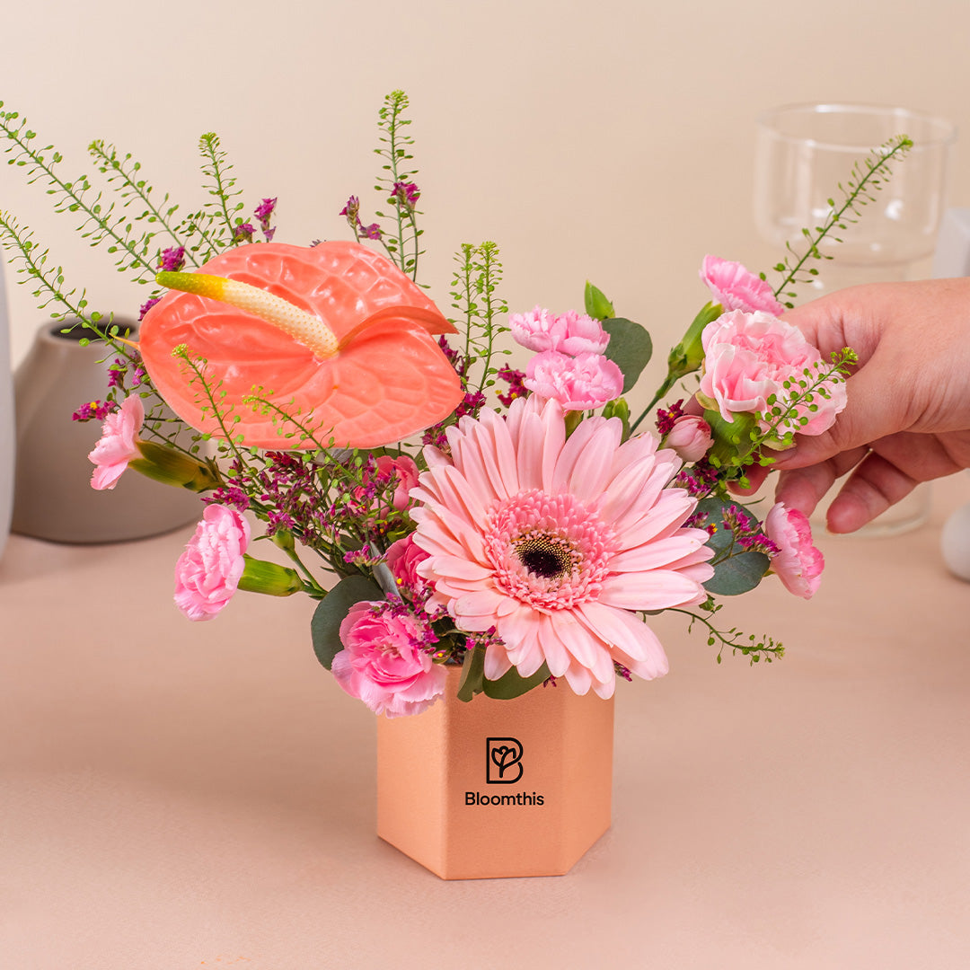 bloomthis-hat-box-ariel-gerbera-mini-flower-box-1080x1080-05_e0e0fa67-7d0a-4026-97ec-ac9f84c611f8