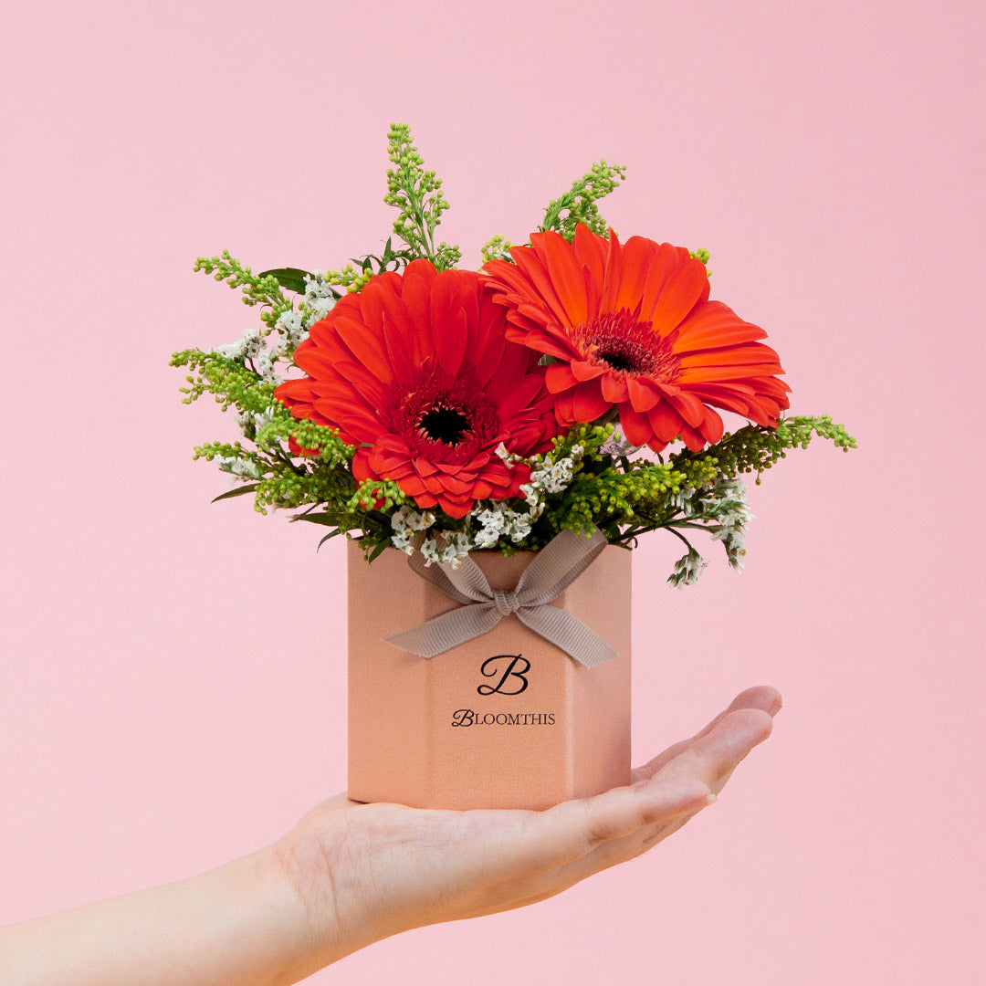 Fabuelo Gerbera Mini Flower Box