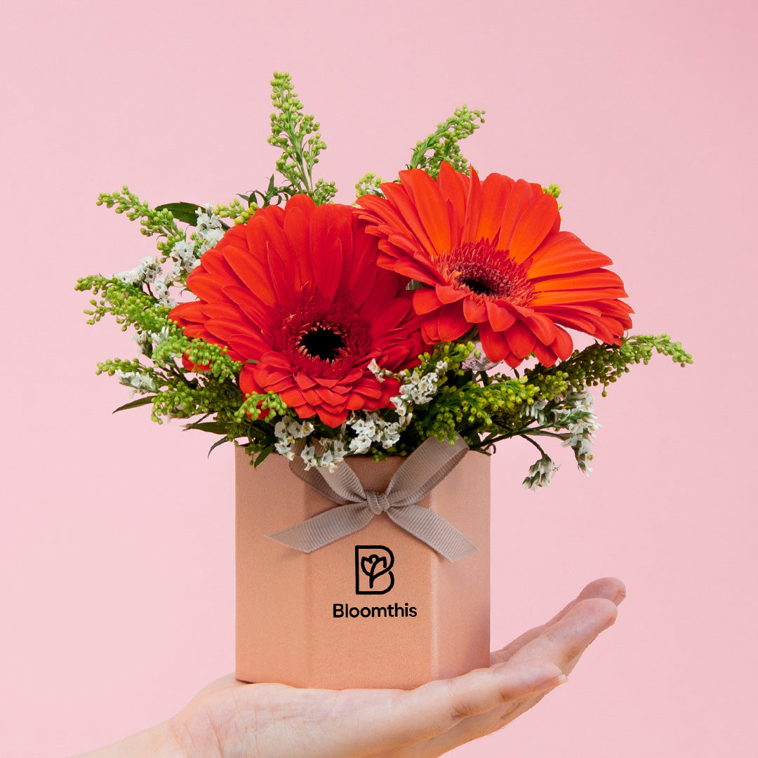 bloomthis-hat-box-fabuelo-gerbera-mini-flower-box-1080x1080-01_cbfec67b-6b9b-423a-827d-693a0539bc6d
