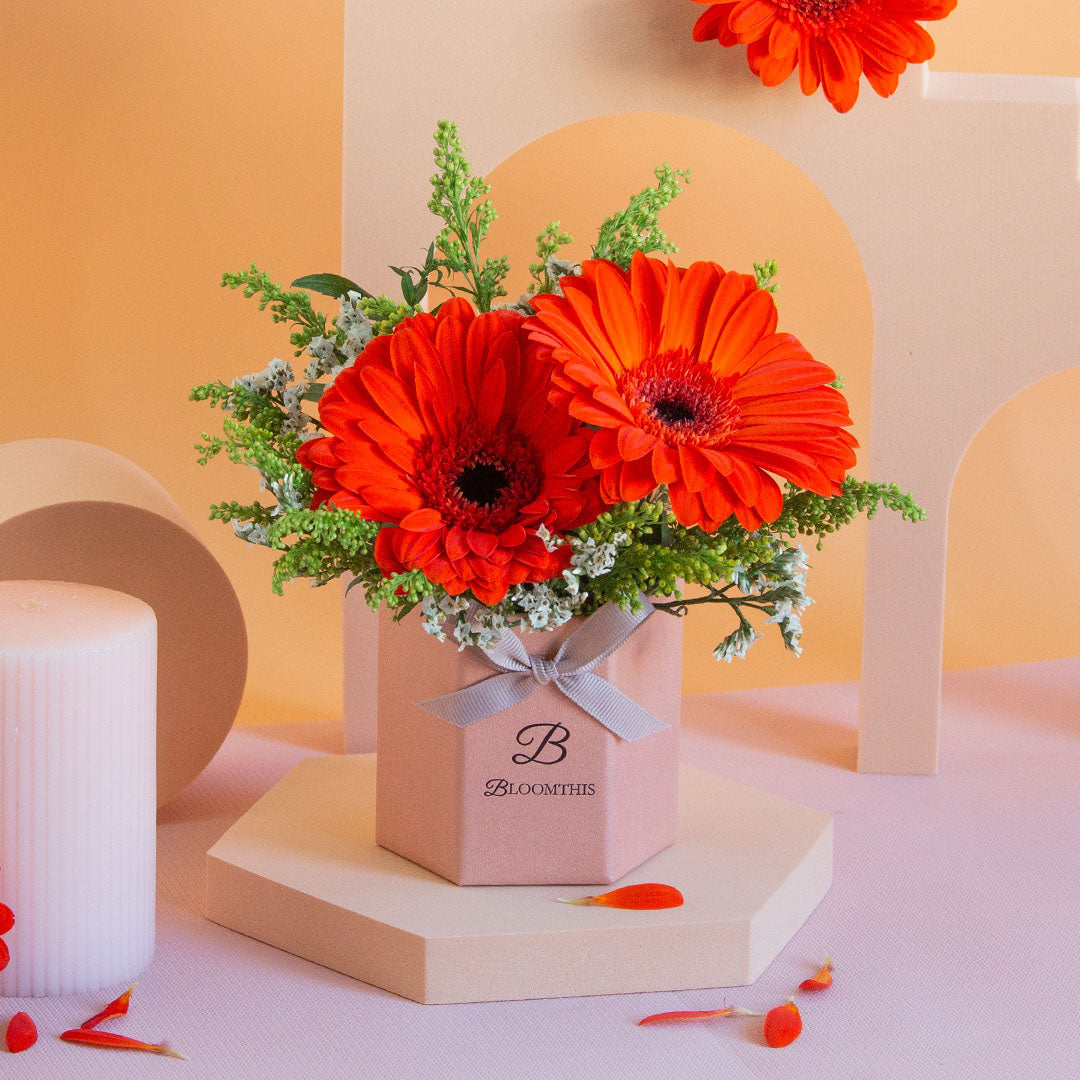 Fabuelo Gerbera Mini Flower Box