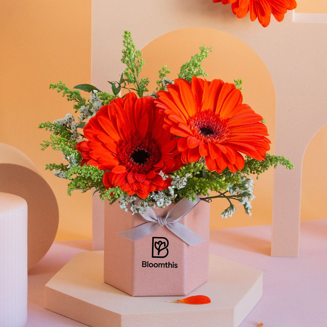 bloomthis-hat-box-fabuelo-gerbera-mini-flower-box-1080x1080-03_6027062e-c6f1-43fc-84ce-1bf853e90e18