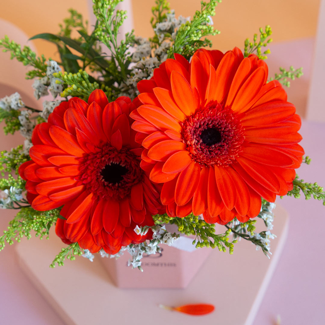 Fabuelo Gerbera Mini Flower Box