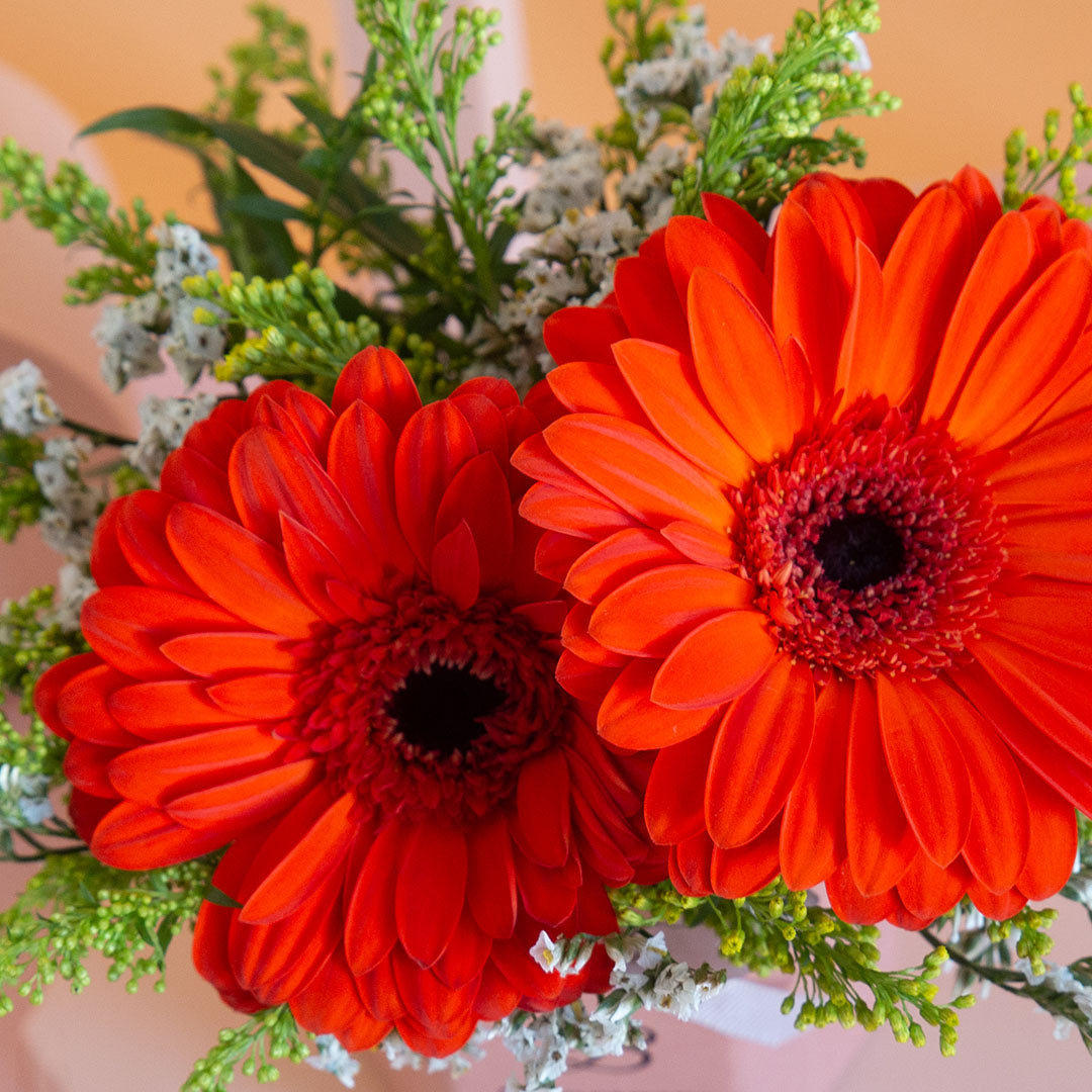 bloomthis-hat-box-fabuelo-gerbera-mini-flower-box-1080x1080-04_433d6d9b-7578-4198-b9fb-39b6b41bf467