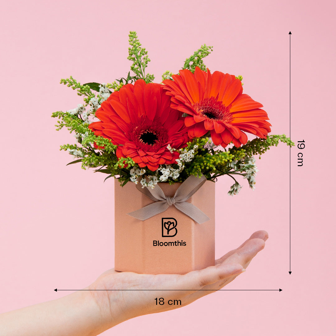 bloomthis-hat-box-fabuelo-gerbera-mini-flower-box-1080x1080-05_9ae46e8d-d55d-4008-b3d5-12791d79d673